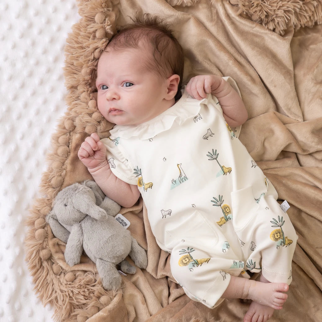 Girls Cassie the Chicken Romper by Millie Jay main image 0