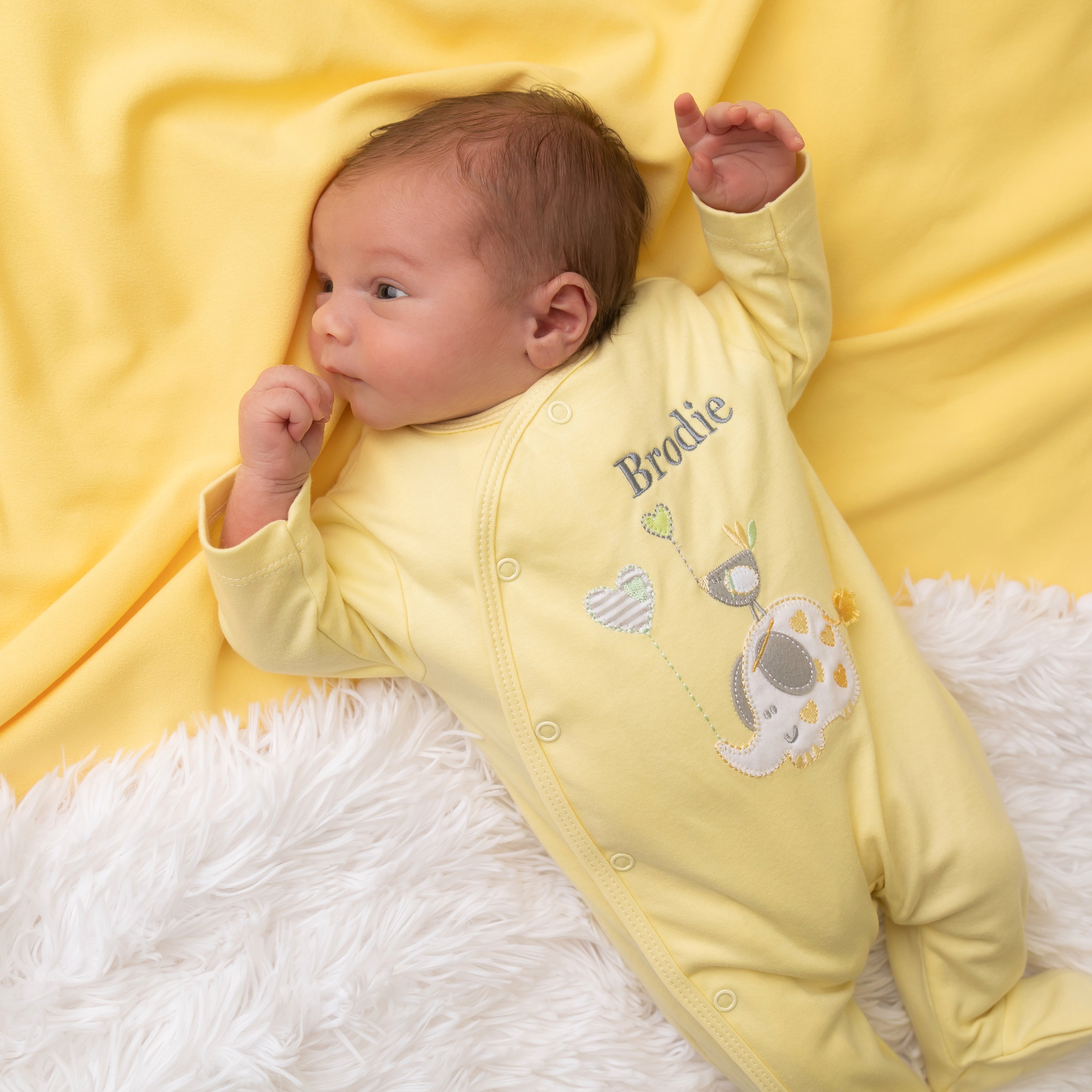 Elephant & Bird Lemon Cotton Sleepsuit