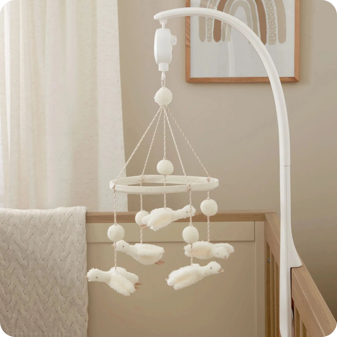 Mamas Papas Born to be Wild Lion Head Wall Art – Millie Ralph